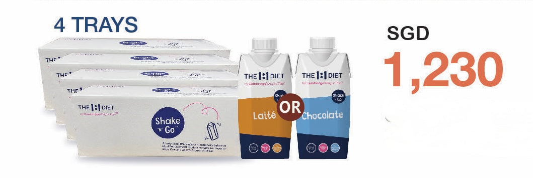 The 1:1 Diet Shakes n Go Promotion (4 trays)